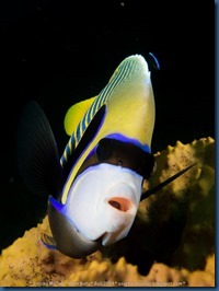 IMG_6278 IMG_6278