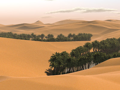 10حقائق مذهلةعنالصحراء الكبرى Lone_palm_sahara_desert