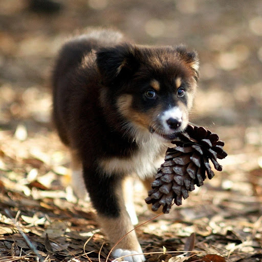 Hd-180687-ascw180687