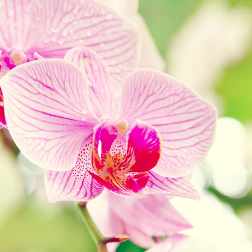 Hd-183348-ascw183348