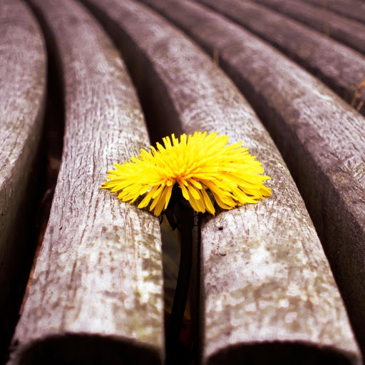 Hd-175566-ascw175566