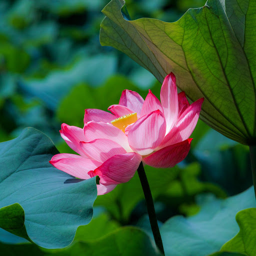 Hd-190847-ascw190847