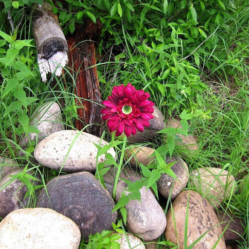 Hd-181221-ascw181221