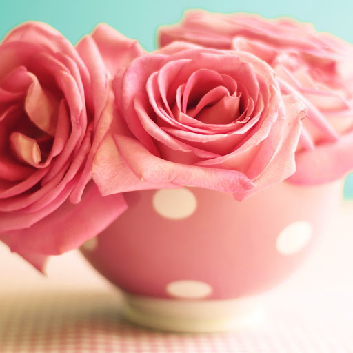 Hd-167689-ascw167689