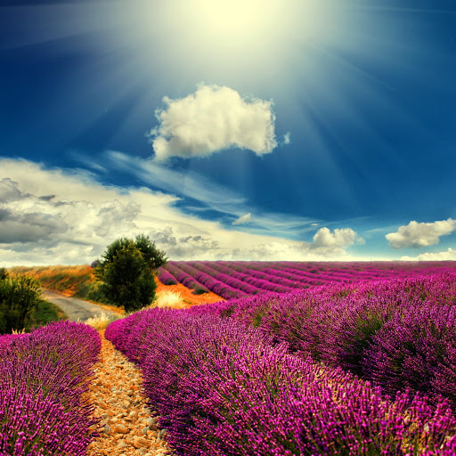 Hd-140287-ascw140287