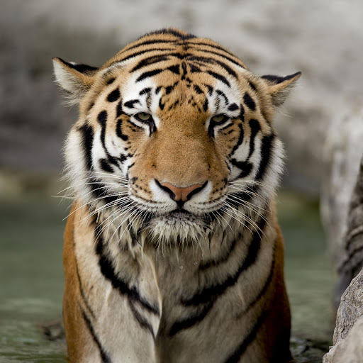 Hd-134697-ascw134697