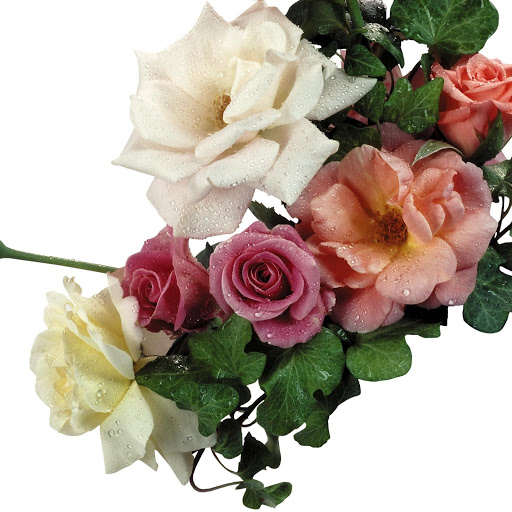 Hd-131656-ascw131656