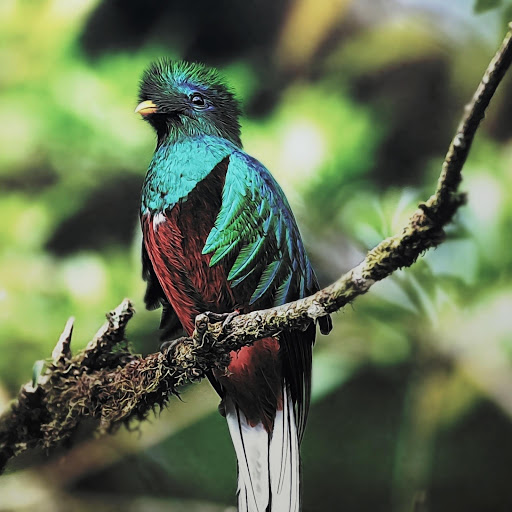 Hd-178565-ascw178565