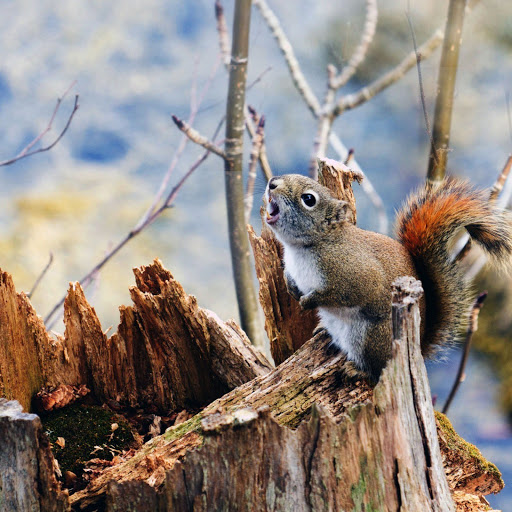 Hd-145002-ascw145002