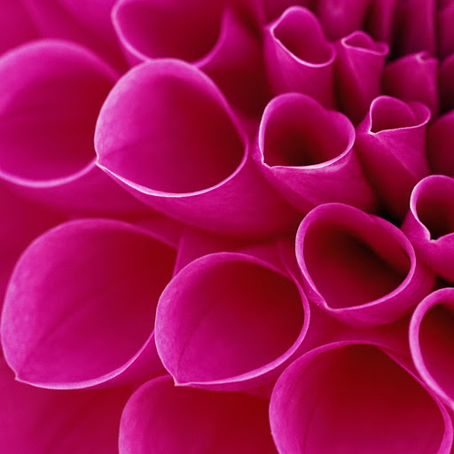 Hd-176151-ascw176151