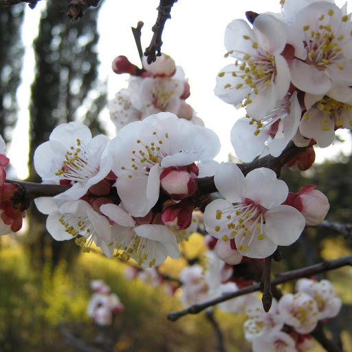 Hd-145449-ascw145449