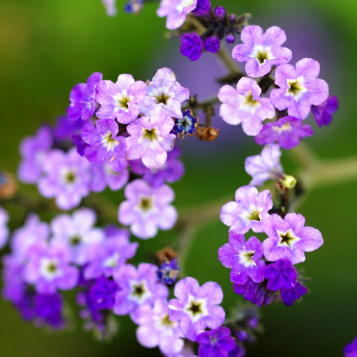 Hd-142178-ascw142178