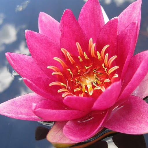 Hd-172423-ascw172423