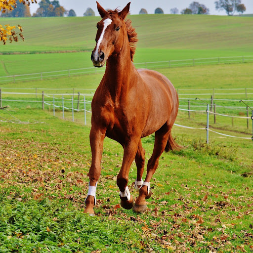 Hd-185806-ascw185806