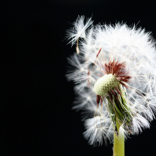 Hd-143426-ascw143426