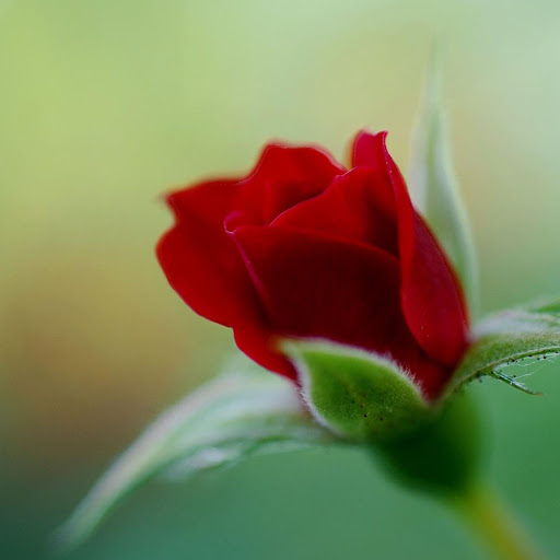 Hd-160647-ascw160647