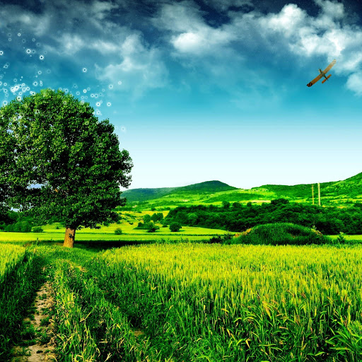 Hd-133785-ascw133785