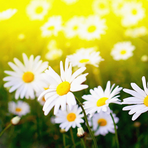 Hd-137903-ascw137903