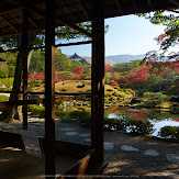依水園,紅葉(PK3_0591,F9,16mm,K-3)2014yaotomi_.jpg