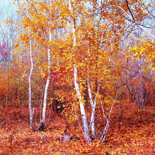 Hd-132269-ascw132269