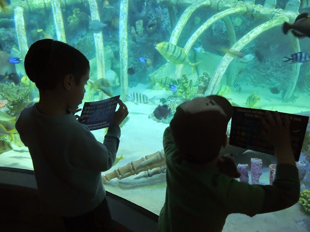 [DSCN8749%255B3%255D.jpg]