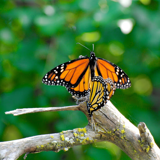 Hd-178759-ascw178759