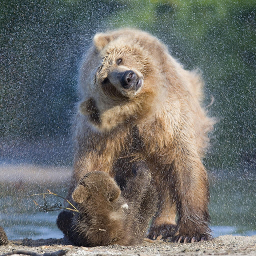 Hd-161382-ascw161382