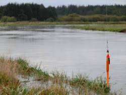 Skjern Au _ Oktober 2012 - 126