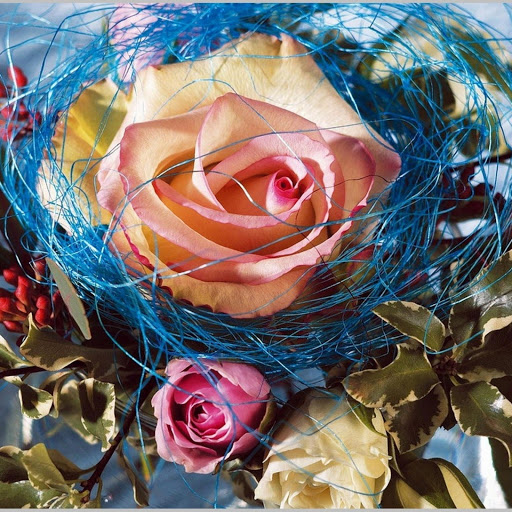 Hd-171067-ascw171067