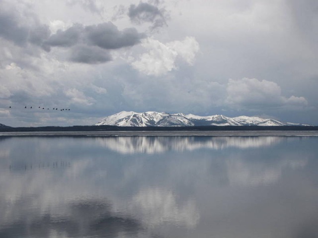 [CanadaGeese%2520Flight%255B4%255D.jpg]