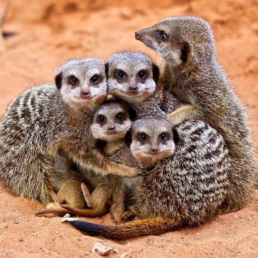 Hd-144276-ascw144276