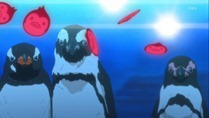 [gg]​_Mawaru​_Penguindrum​_-​_24​_[E51B0C58].mkv_snapshot_10.35_[2011.12.22_23.41.43]