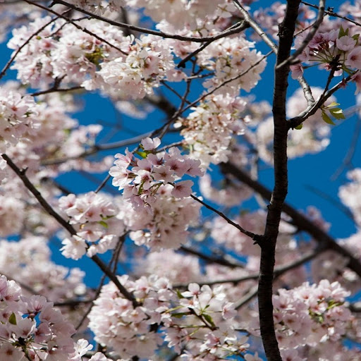 Hd-164906-ascw164906