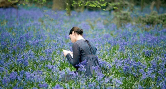 [leitura%2520no%2520jardim%255B5%255D.jpg]