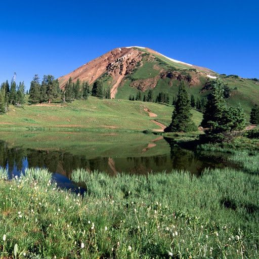 Hd-132113-ascw132113