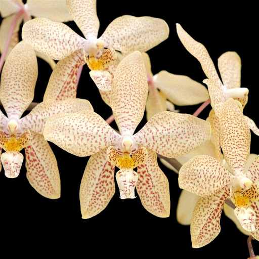 Hd-179617-ascw179617