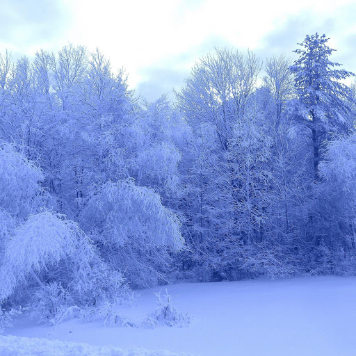 Hd-165089-ascw165089