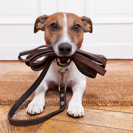 Hd-138766-ascw138766