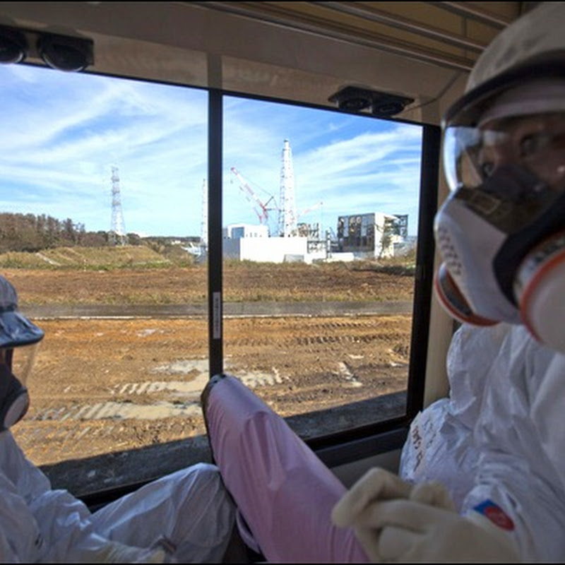 «Фукусима-1»: восемь месяцев спустя