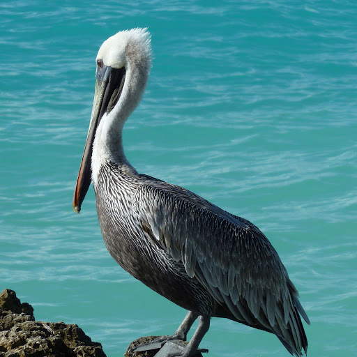 Hd-178453-ascw178453