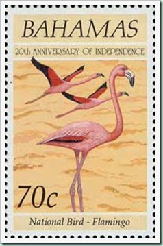 bahamas-flamingo