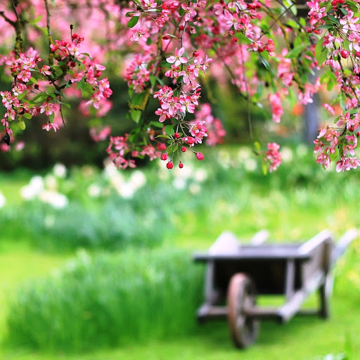 Hd-141973-ascw141973