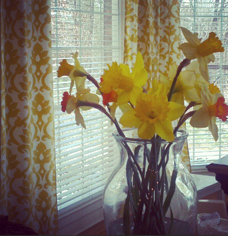 [march%2520flowers%255B3%255D.png]