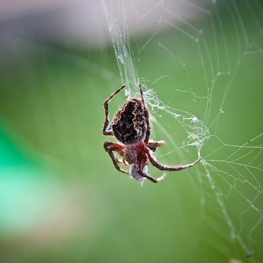 Hd-165229-ascw165229