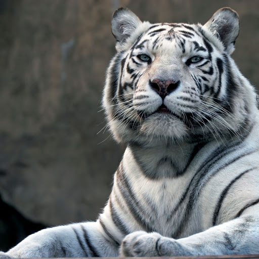 Hd-173073-ascw173073