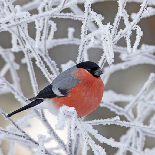 Hd-156494-ascw156494