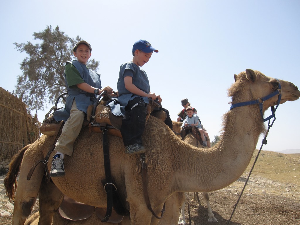 [IMG_4229%255B3%255D.jpg]