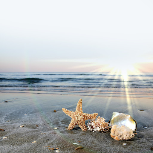 Hd-163665-ascw163665