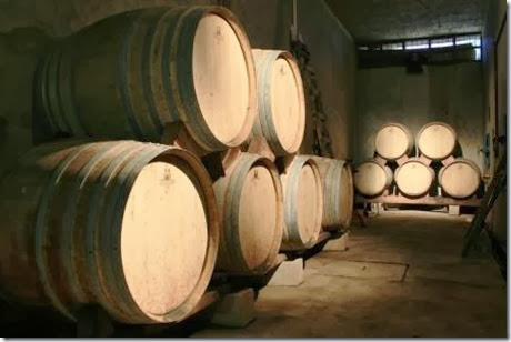 Ruta del vino (Tarija)