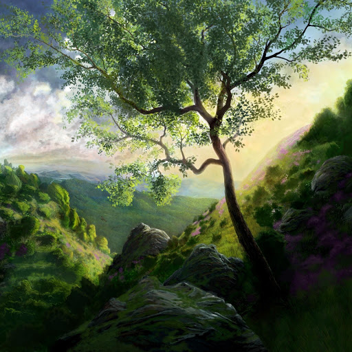 Hd-175617-ascw175617